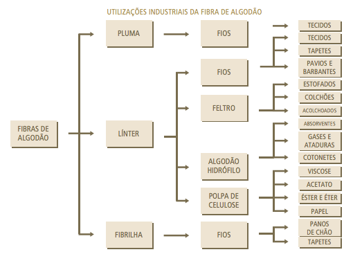 utilizações da fibra algodão